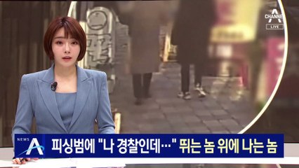 피싱범에 “나 경찰인데” 사칭…뛰는 놈 위에 나는 놈