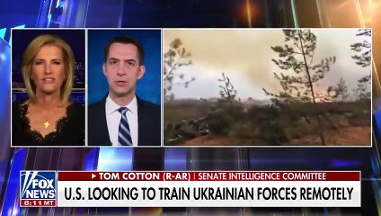 Tom Cotton This is basic common sense