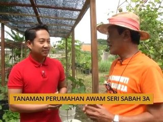 Tanam: Tanaman Perumahan Awam Seri Sabah 3A
