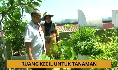 Tanam: Ruang kecil untuk tanaman