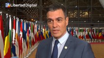 Sánchez asegura que habrá sanciones masivas a Rusia por el ataque a Ucrania