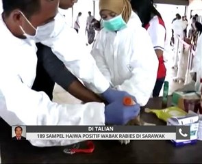 189 sampel haiwan positif wabak rabies di Sarawak