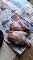 Eat out 3 kg of chicken