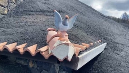 Bajo las cenizas en La Palma dos meses después