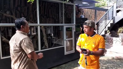 The turtle eats cat food