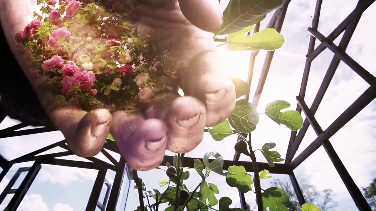 Intro på "Jannes Have" | 2015 | TV2 NORD - TV2 Danmark