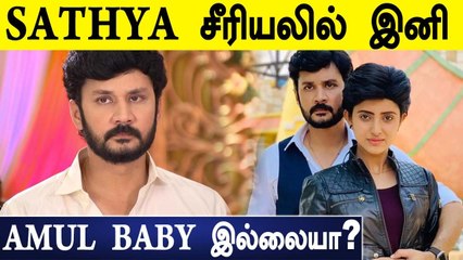 Sathya சீரியலில் இருந்து விலகும் Vishnu?? | Zee Tamil Serial, Amul Baby