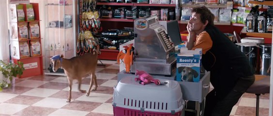 Murieron por encima de sus posibilidades Teaser