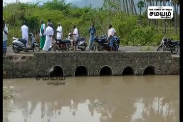 ஏரியில் செத்து மிதக்கும் மீன்கள்; இதாங்க ரீசன்!