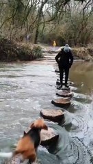 ஜஸ்ட் மிஸ்ட்...நொடிப்பொழுதில் தப்பிய பிரியங்கா.. பார்த்ததும் பதறும் ரசிகர்கள்