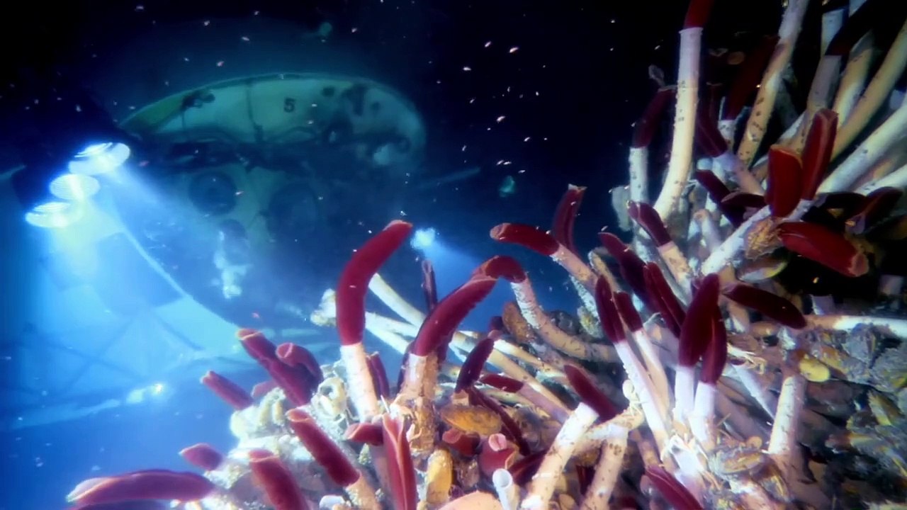 James Cameron's Deepsea Challenge 3D Tráiler VO