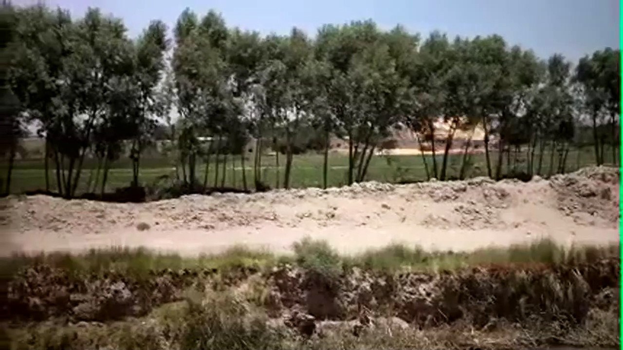 Hell and Back Again Tráiler VO