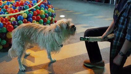 Spy Kids. Todo el tiempo del mundo Tráiler VO