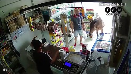 Deux chevaux affamés entrent dans une épicerie pour se servir à manger !