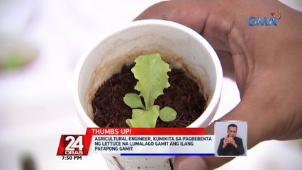 Agricultural engineer, kumikita sa pagbebenta ng lettuce na lumalago gamit ang ilang patapong gamit | 24 Oras