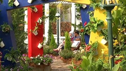 Tanam: Inspirasi bercucuk tanam & taman yang mempersonakan