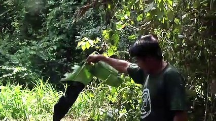 How To Let Go Of The World (And Love All The Things Climate Can't Change) Tráiler VO