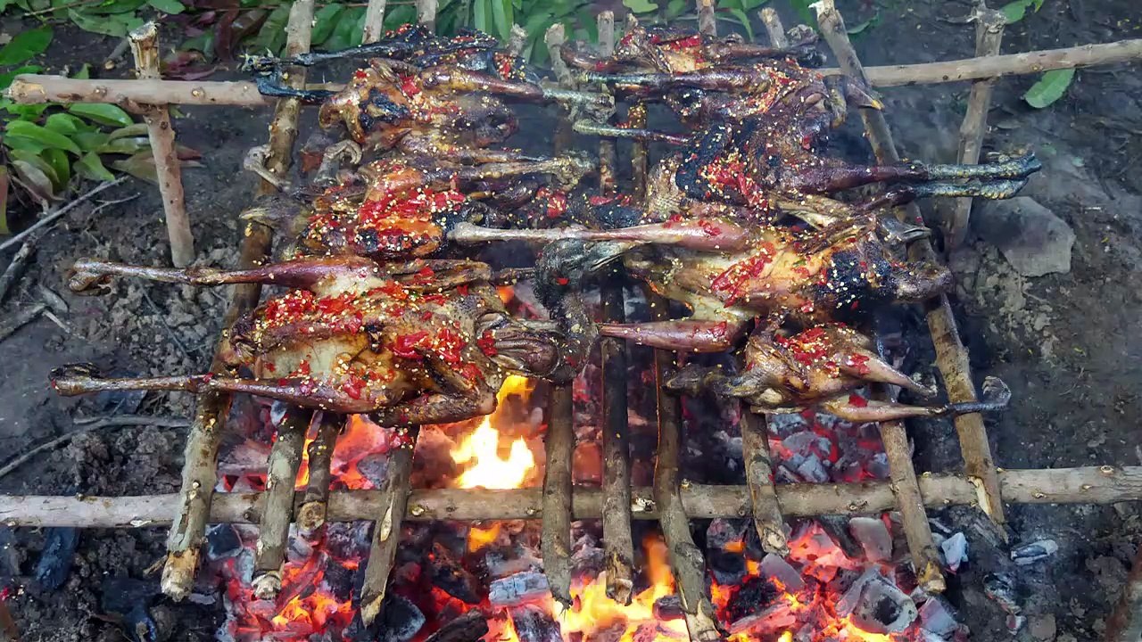 World Cuisine - Yummy Cooking 11Chicken Eating Delicious 34
