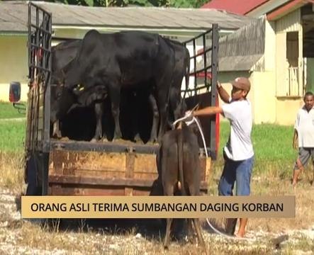 AWANI - Kelantan: Orang Asli terima sumbangan daging korban