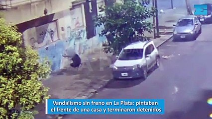 Vandalismo sin freno en La Plata, pintaban el frente de una casa y terminaron detenidos