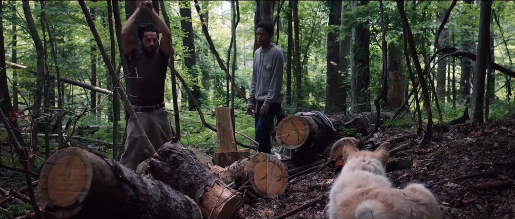 Viene de noche Tráiler (5) VO