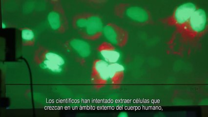The Immortal Life of Henrietta Lacks Tráiler VO