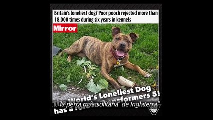 Transformers: El último caballero - Detrás de cámaras