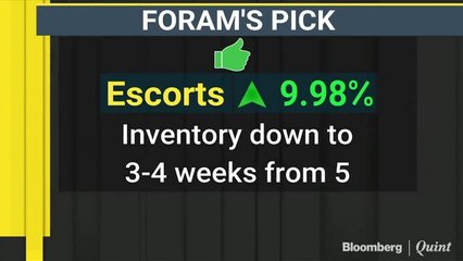 Why Analysts Like Maruti & Escorts Amid Auto Slowdown