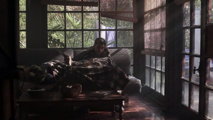 Las plantas Tráiler (2)