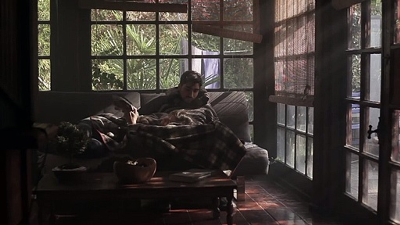 Las plantas Tráiler (3)