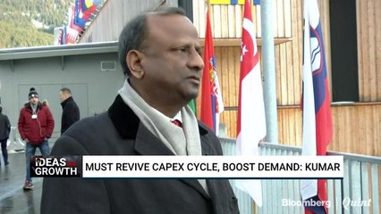 Ideas For Growth | Should Be A Mix Of Demand Boost And Capex Revival, Says Rajnish Kumar