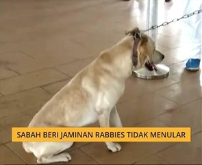 Sabah beri jaminan rabies tidak menular