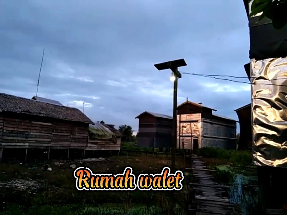 Rumah walet - Sumsel