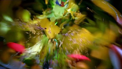 La fiesta de las salchichas SPOT