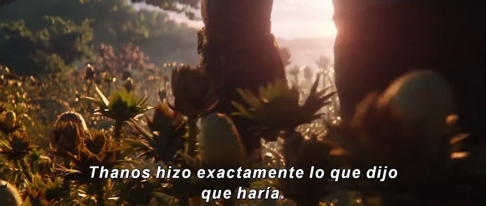 Teaser Trailer de Avengers: Endgame