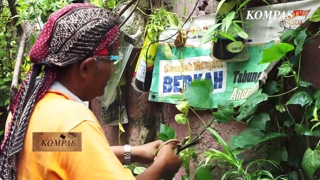Jakarta Krisis Ruang Terbuka Hijau Asa Lestari di Belantara Beton Jakarta| BERKAS KOMPAS (3)