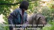 Tráiler de 'Okja'