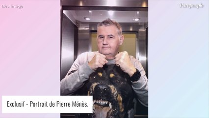 Pierre Ménès traité de 'beauf', 'vulgaire' et 'provocateur' dans un rapport d'enquête au vitriol