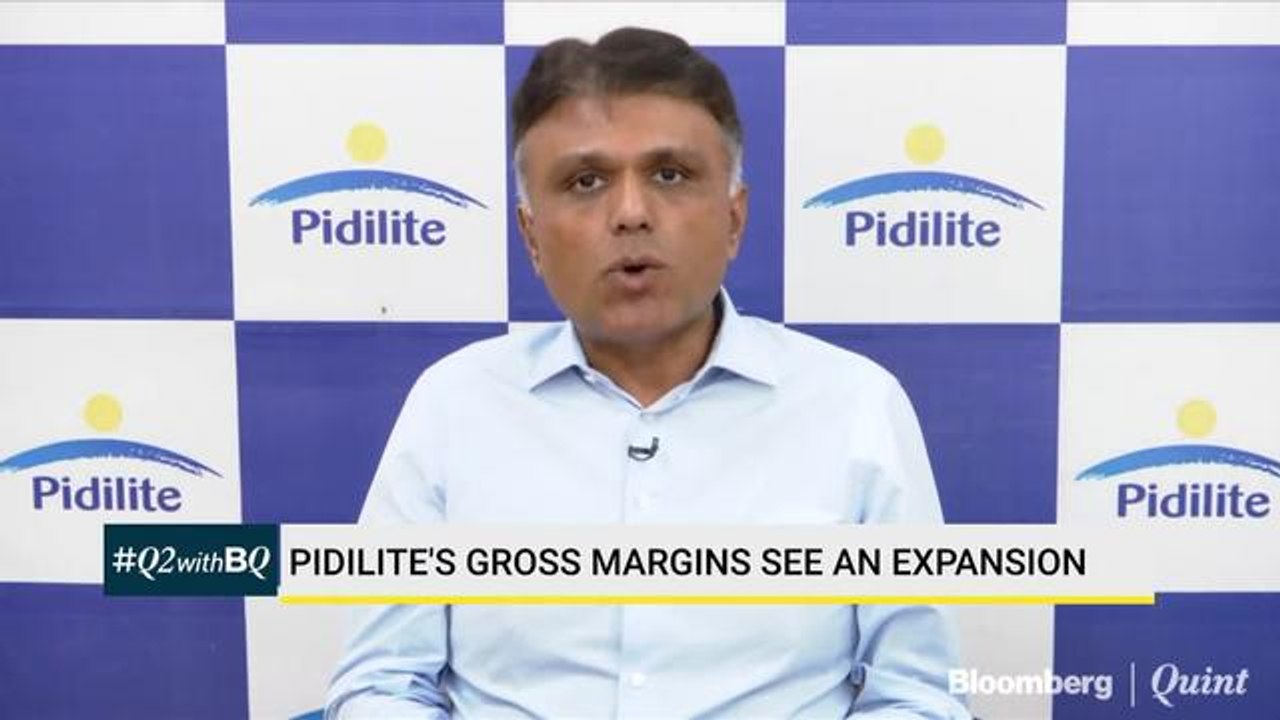 Pidilite's Consumer And Bazar Segment De-Grows