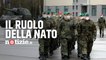 Guerra Russia-Ucraina: cos’è la Nato e che ruolo ha nel conflitto
