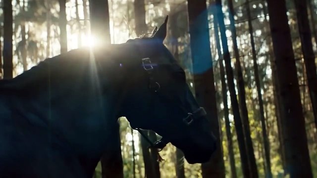 Tráiler Out Stealing Horses