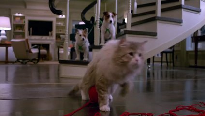 Mi papá es un gato Clip (3) VO