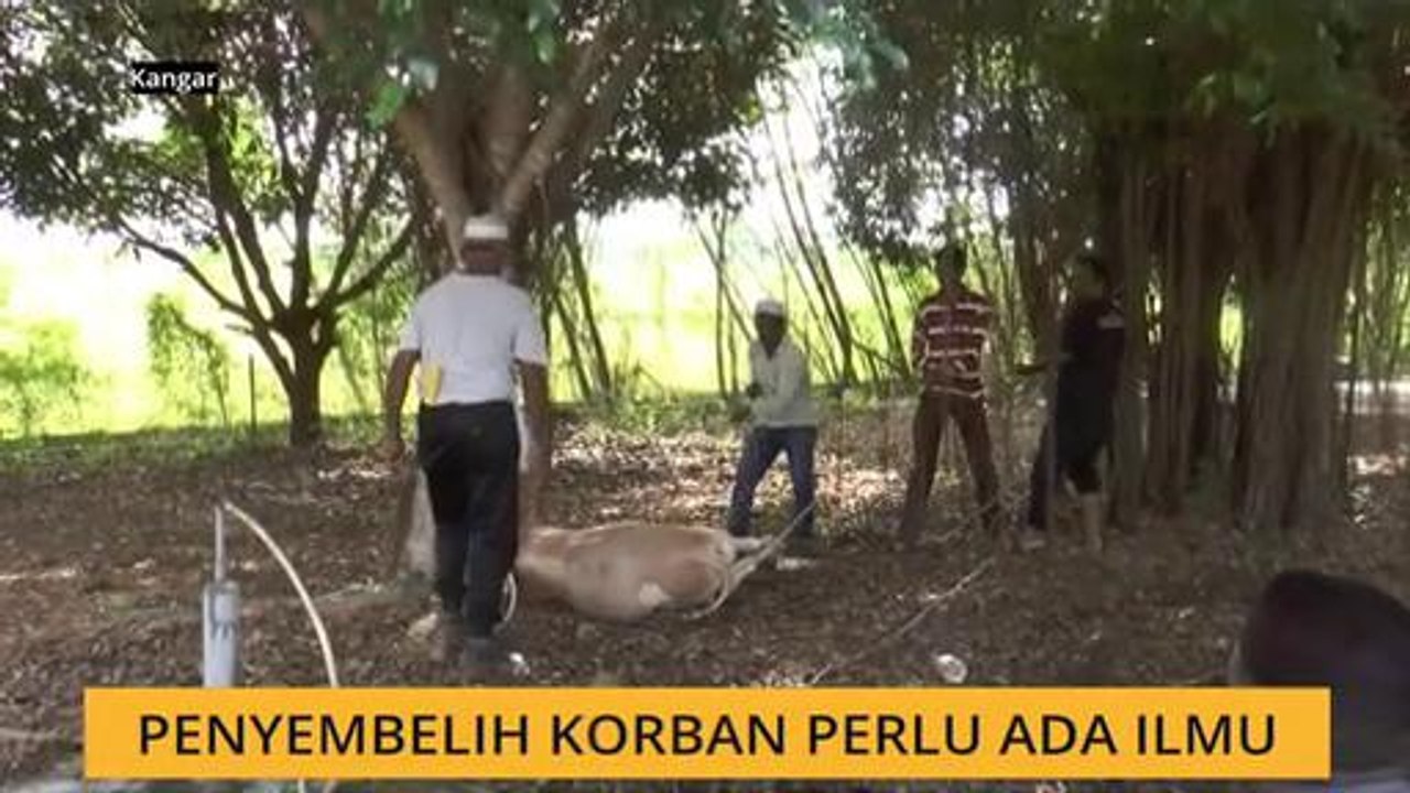 Penyembelih korban perlu ada ilmu