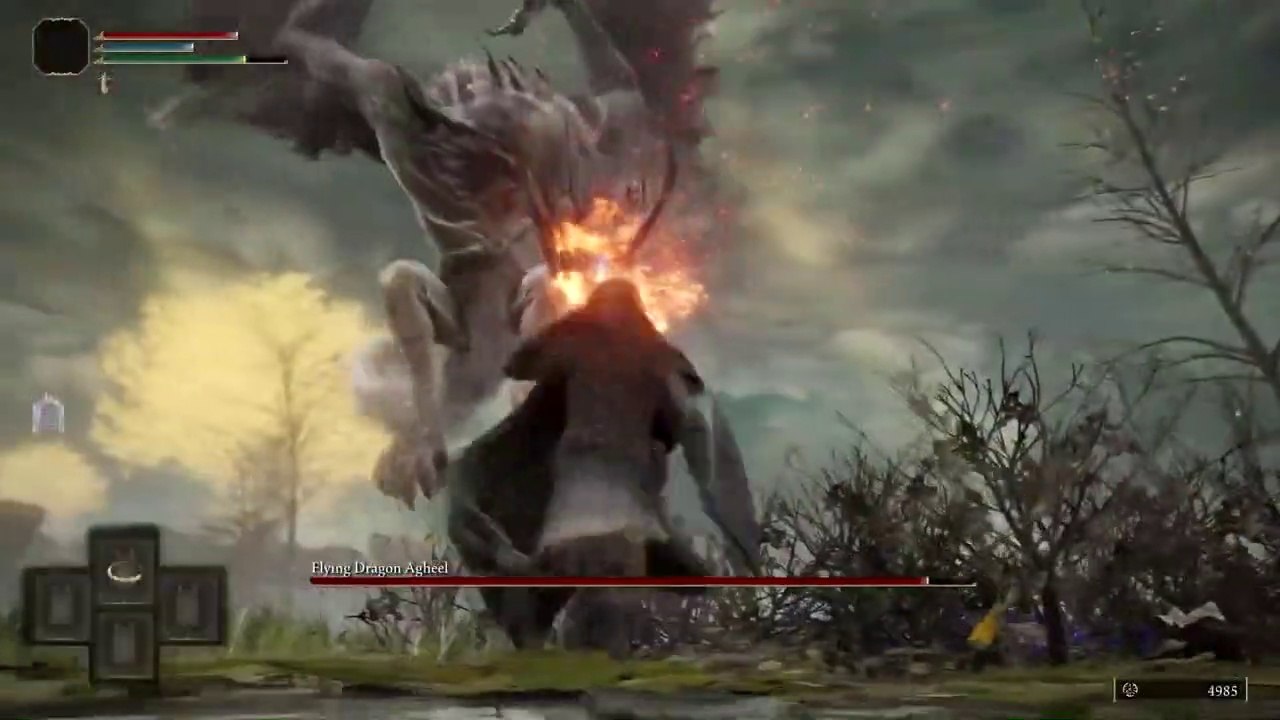 Elden Ring Vaatividya - Beginner's Guide Video