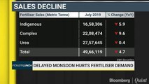 Delayed Monsoon Hurts Fertiliser Demand