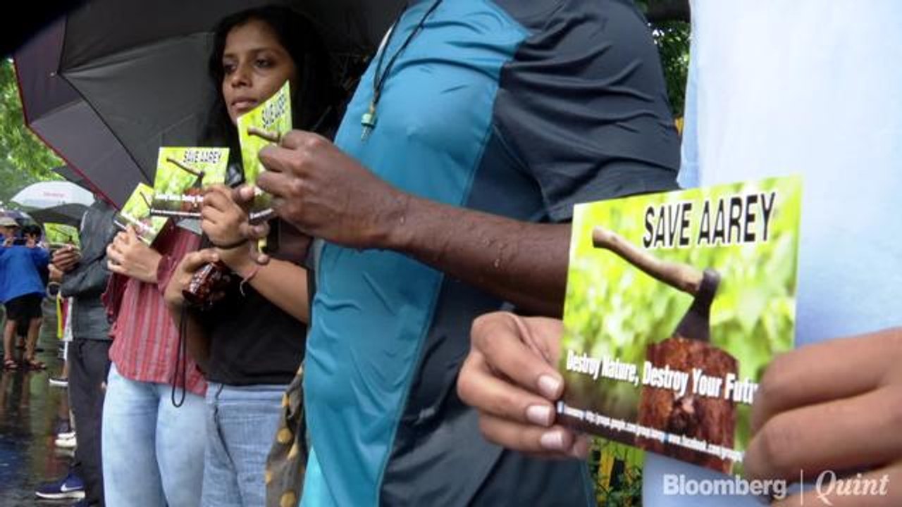 Protestors Turn Up In Hundreds To Save Aarey