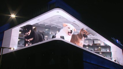 이번엔 미디어 아트 벽화 등장...광화문 실감형 콘텐츠 완성 / YTN