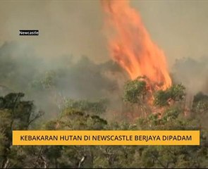 Kebakaran hutan di Newscastle berjaya dipadam