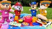 Best Toy Learning Video for Kids  Paw Patrol Snuggle Pup Picnic