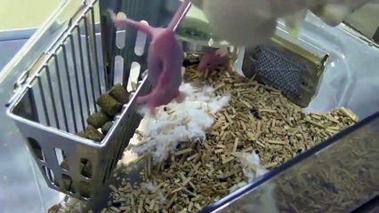 Empatía – Tráiler en Español